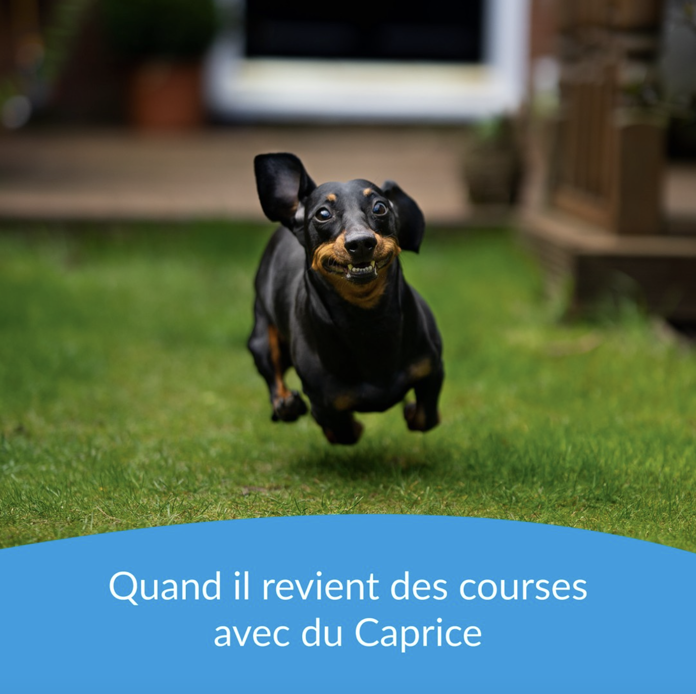 Création de contenu pour les réseaux sociaux et gestion des comptes Instagram et Facebook de la marque Caprice des Dieux du groupe Savencia par l’agence digitale bilingue Numéro 10.