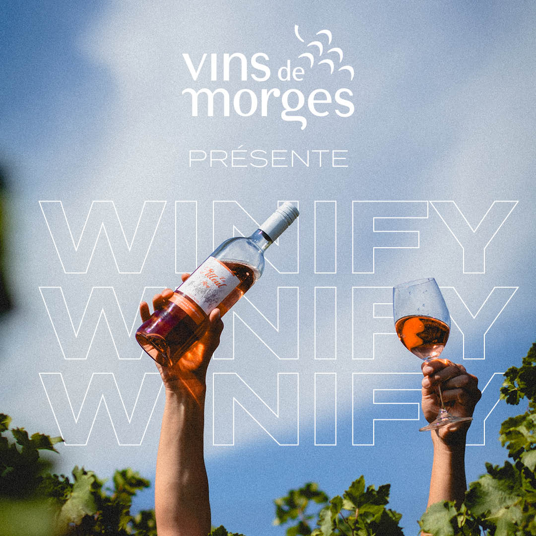 Image de la campagne Winify en ligne et hors ligne des vins de Morges réé par l'agence de communication bilingue numéro 10.